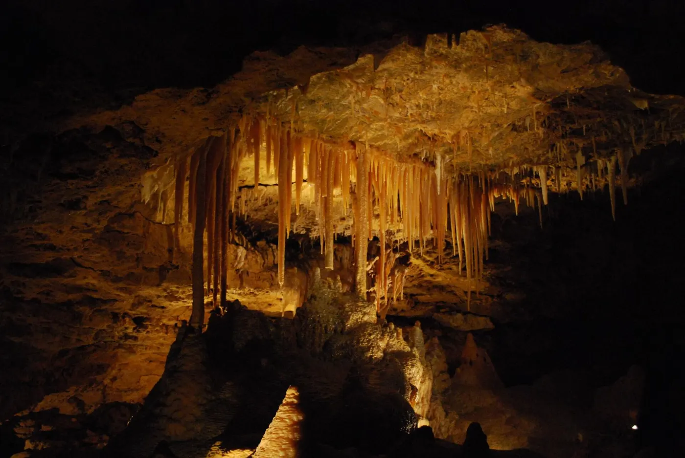 Victoria Fossil Cave