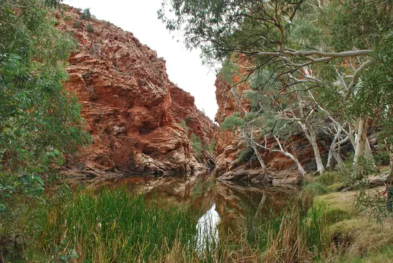 Ellery Creek Big Hole