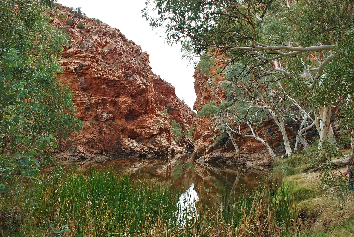 Ellery Creek Big Hole