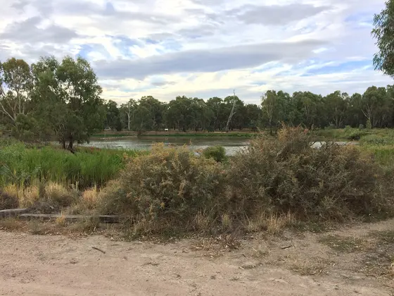 Narrandera Wetlands