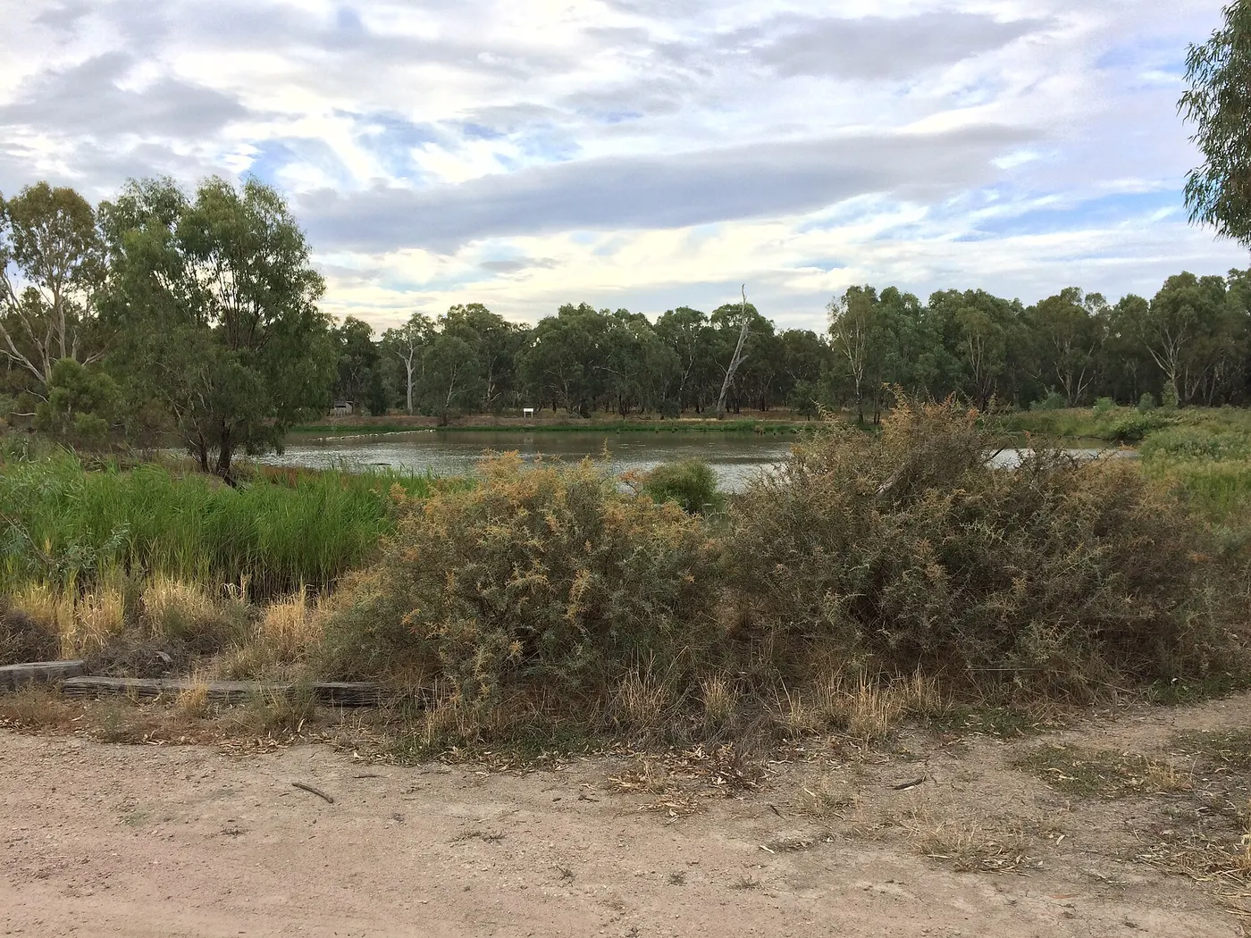 Narrandera Wetlands