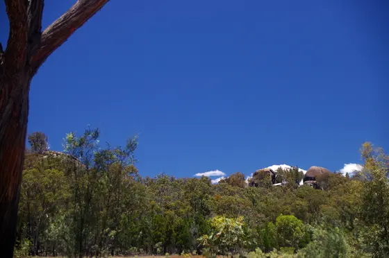 Castle Rock