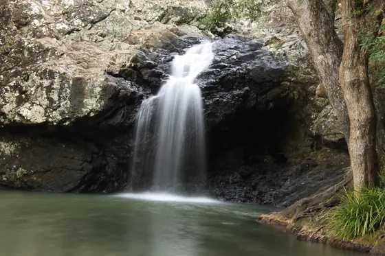 Kondalilla Falls