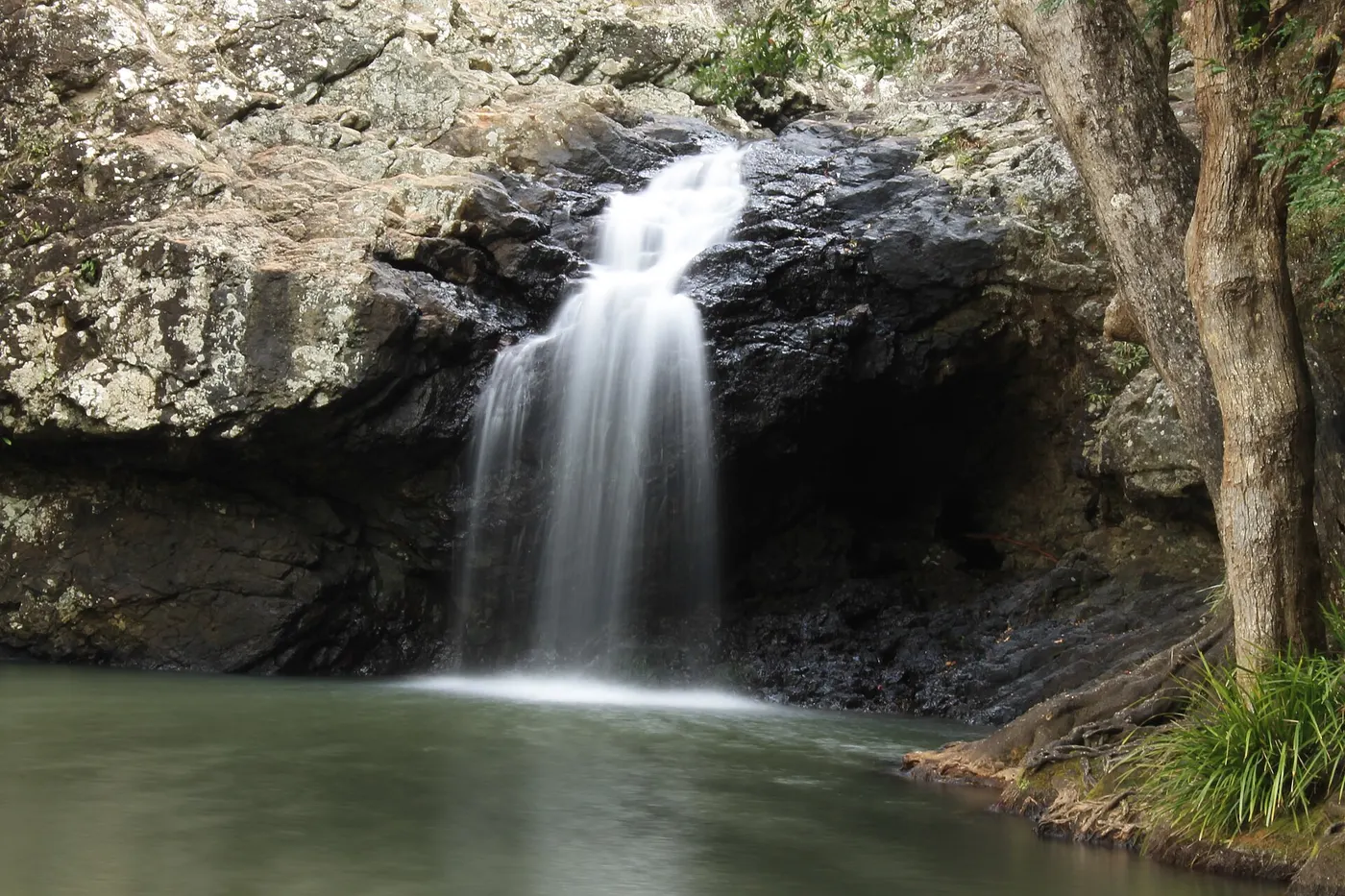 Kondalilla Falls