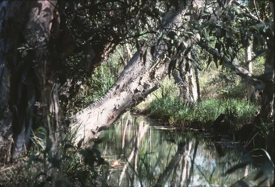 Little Crystal Creek