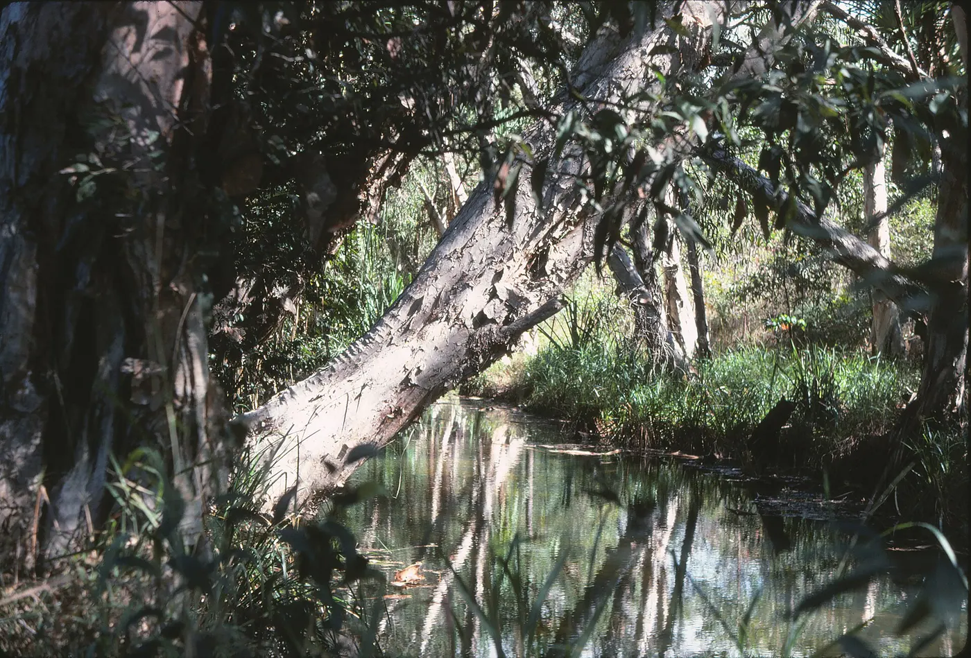 Little Crystal Creek